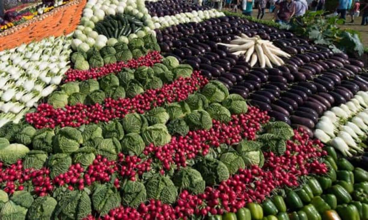 Kohl, Aubergine oder Rüebli: Welches Gemüse macht das Rennen in die Schweizer Küchen?
