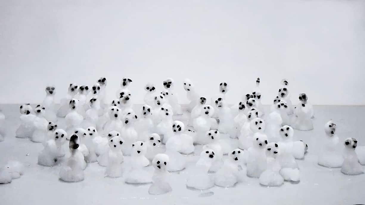 Great White, Videoprojektion, 2017/18, Ursula Palla > Videostill; Ursula Palla Empty Garden 2, Videoinstallation, 2020, Ursula Palla > Foto; Ursula Palla Listen to the Flowers, Aluminium und Bronze mit Waffenstahl, 2022, Ursula Palla > Foto Ursula Palla