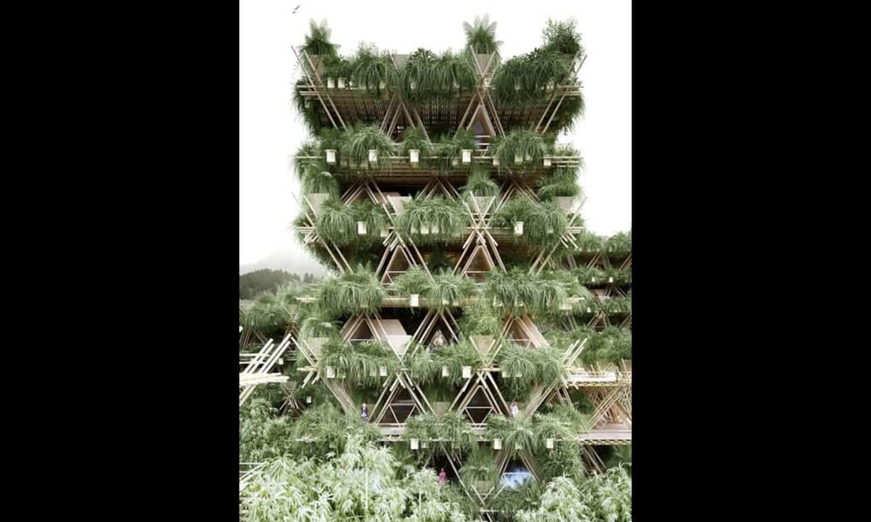 Bambus wächst schneller als Baumholz und ist im Verhältnis viel leichter und stabiler. Der Konfiguration des Gebäudes sind damit kaum Grenzen gesetzt.
Penda