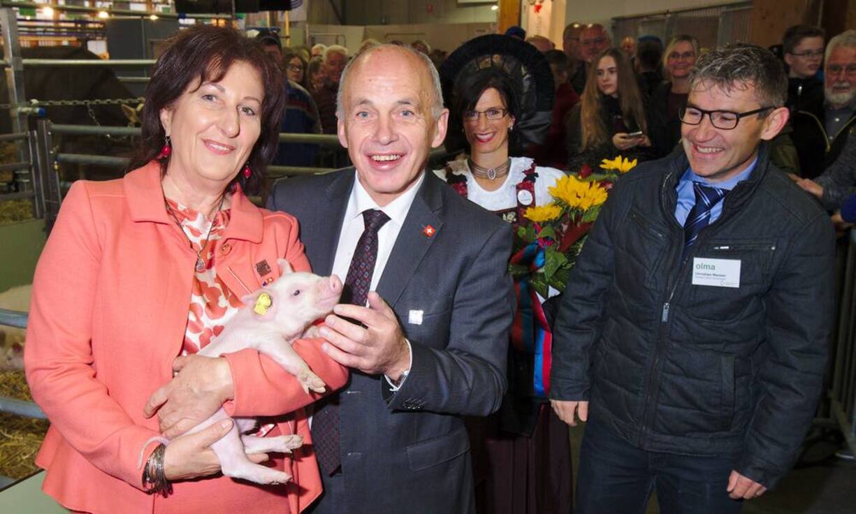 olma2016_348.jpg