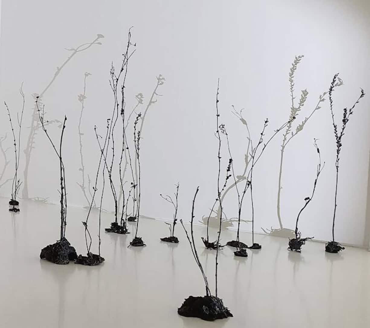 Great White, Videoprojektion, 2017/18, Ursula Palla > Videostill; Ursula Palla Empty Garden 2, Videoinstallation, 2020, Ursula Palla > Foto; Ursula Palla Listen to the Flowers, Aluminium und Bronze mit Waffenstahl, 2022, Ursula Palla > Foto Ursula Palla