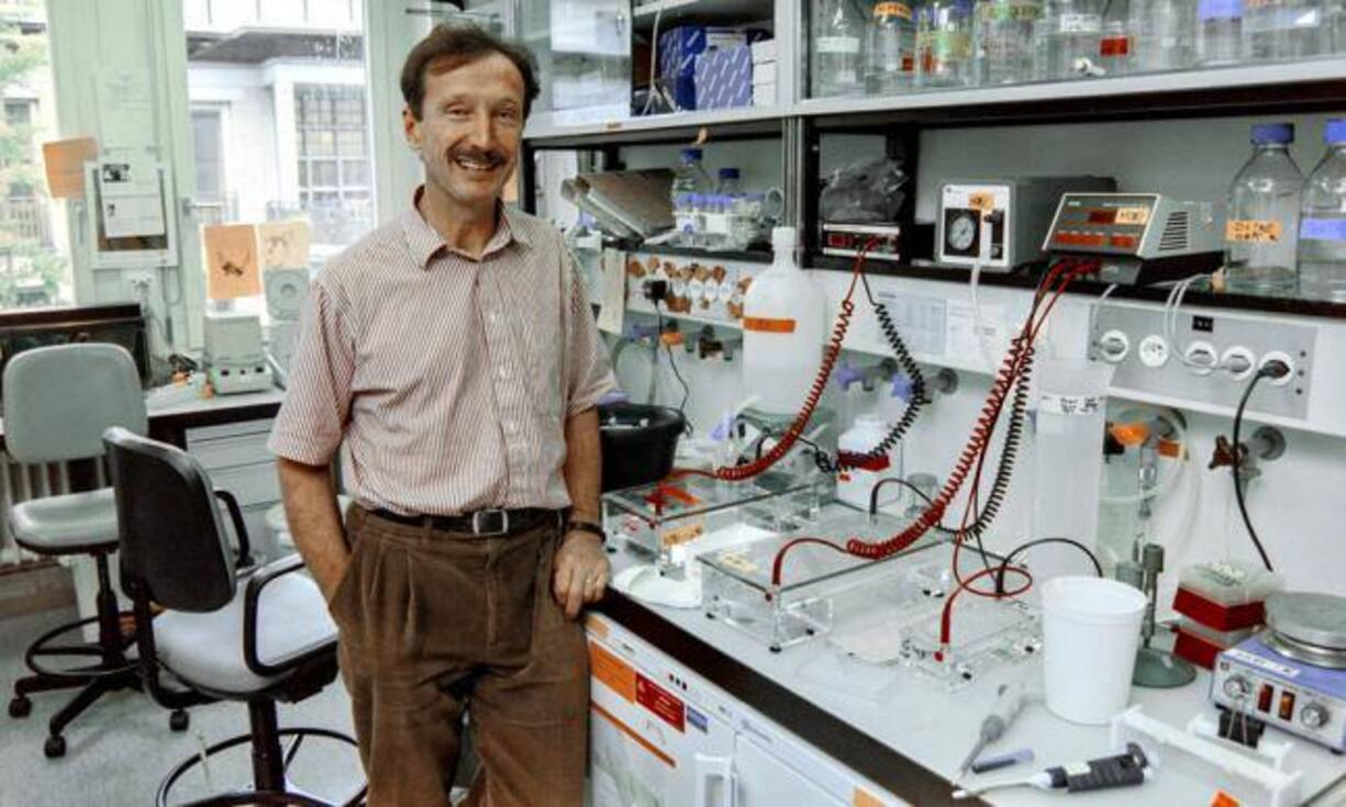 Rolf M. Zinkernagel - Nobelpreis für Medizin 1996
Das Nobelpreiskomitee würdigt die Forschungsresultate von Zinkernagel zusammen mit dem Australier Peter Doherty. 1973 entdeckten die Mediziner, wie das Immunsystem virusinfizierte Zellen durch Killer-T-Zellen erkennt.
Keystone