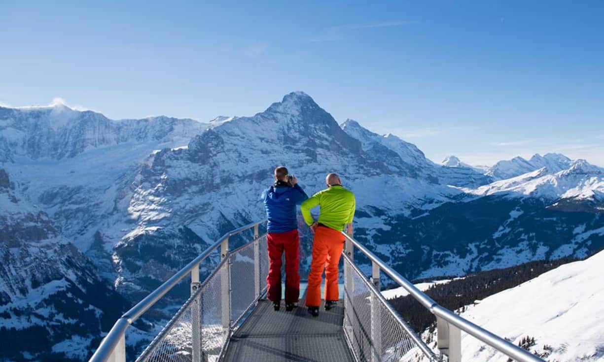 Die Schweizer Berge