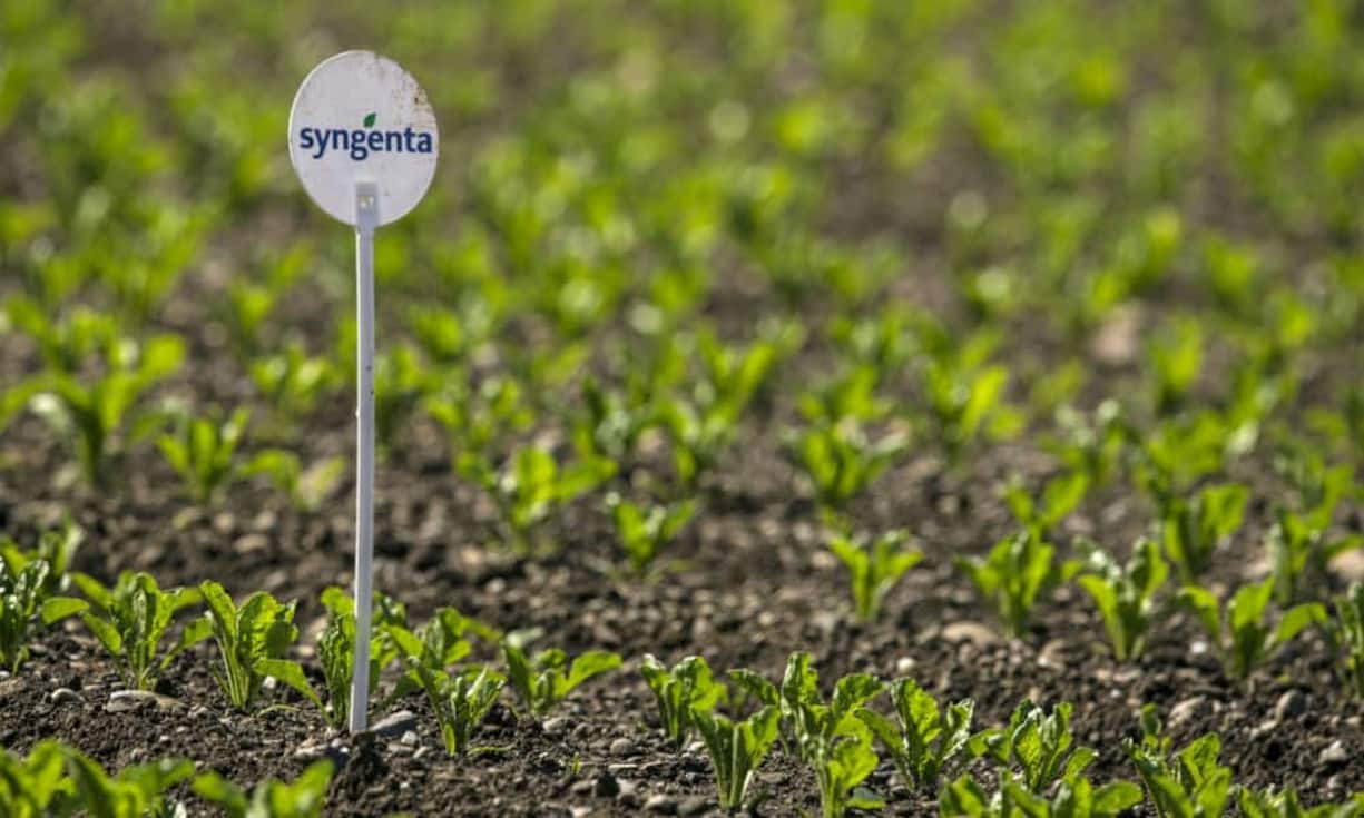 Unternehmen: 43 Milliarden Dollar bietet das Unternehmen ChemChina im Februar für die Übernahme von Syngenta - der grösste Zukauf eines chinesischen Investors im Ausland.