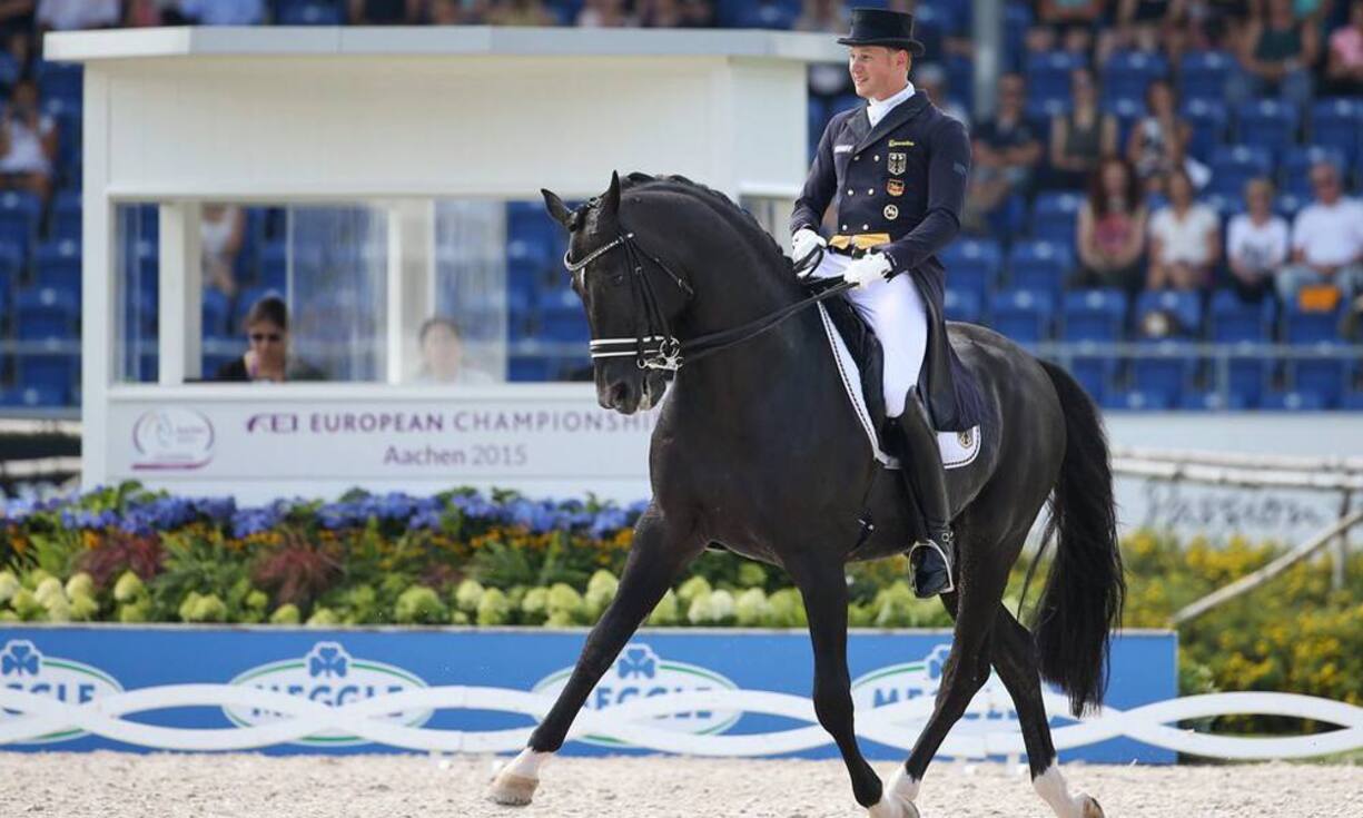 Totilas besondere Talent lag vor allem in den schwersten Lektionen: die Piaffen, also den Trab auf der Stelle, und die Passagen waren für den Hengst ein Leichtes.