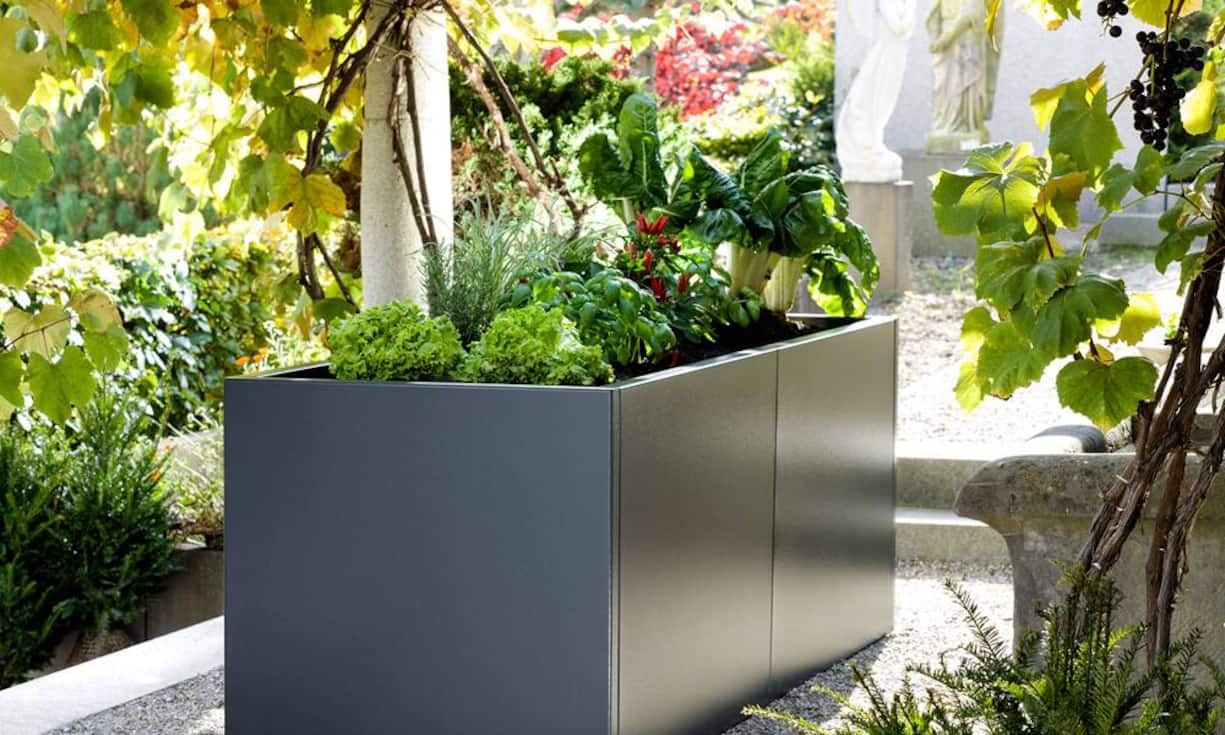 Hoch das BeetArbeiten ohne Bücken, keinen Ärger mit Schnecken, viel Ertrag auf wenig Fläche: Vieles spricht für Hochbeete, darum sind sie Trend. Das Hochbeet Cubus ist aus pulverbeschichtetem Metall, und der Handlauf ist breit und bietet mit seinen abgerundeten Kanten einen angenehmen Halt beim Abstützen.Aussteller: Sager Gartengalerie