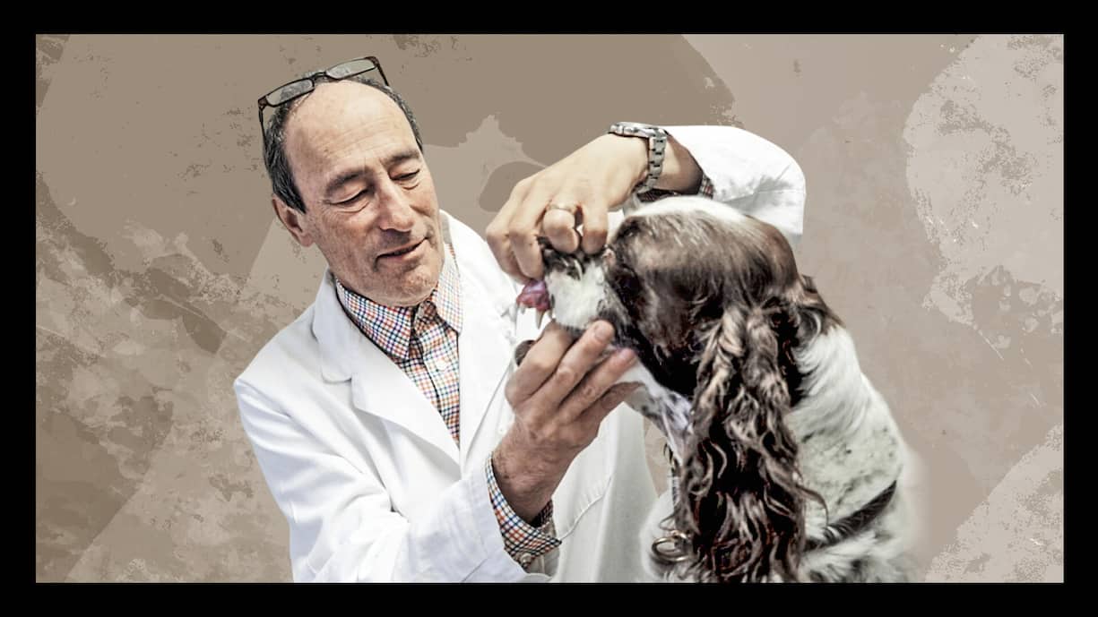 Der Tierarzt: Marc Bär
Er übt auch im Pensionsalter noch ­seinen Beruf aus. Zudem ist er als ­Investor tätig, etwa als Aktionär beim Industrieunternehmen Schlatter.