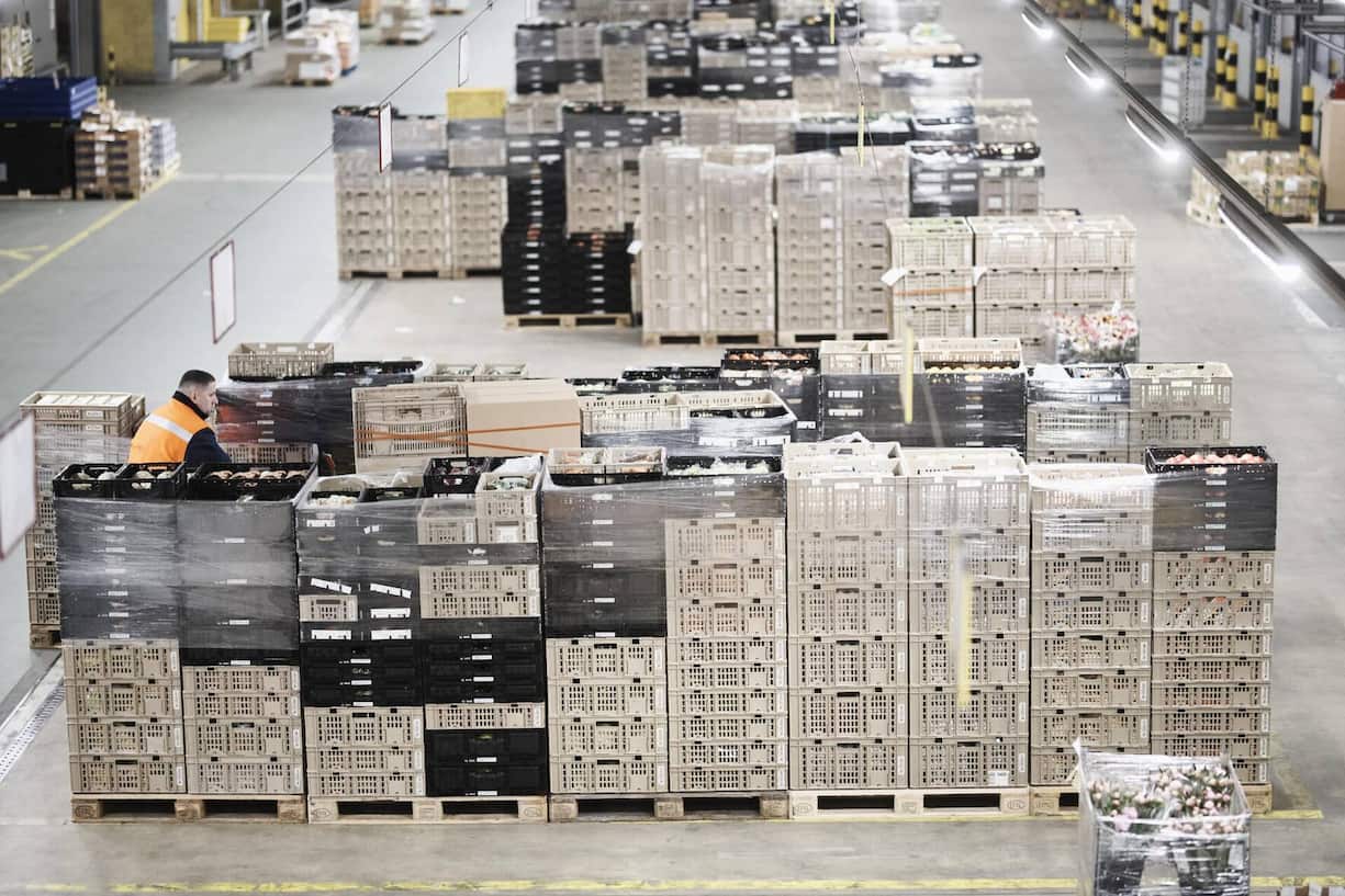 Vom eigenen Logistikzentrum für Frischware bis ...