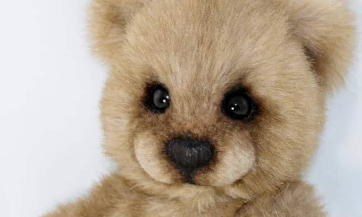 04.teddy_bear_thepeachpeddler.jpg