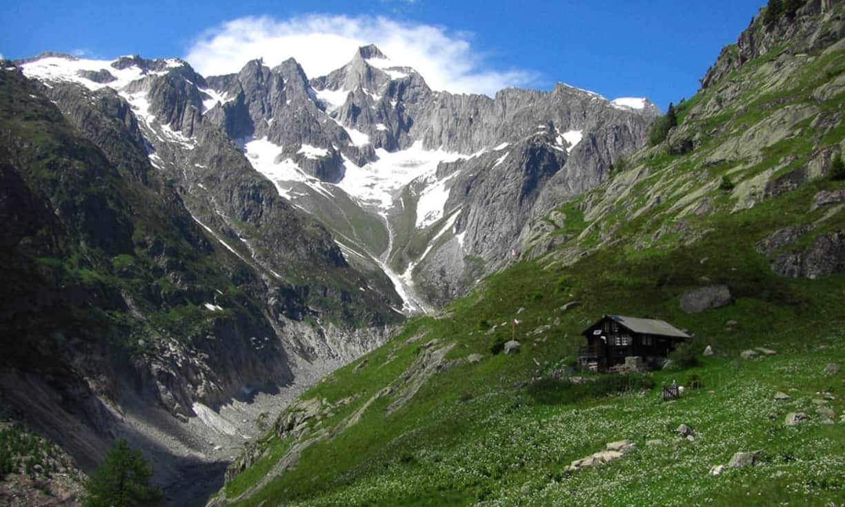 sonnenanbeter-8.jpg