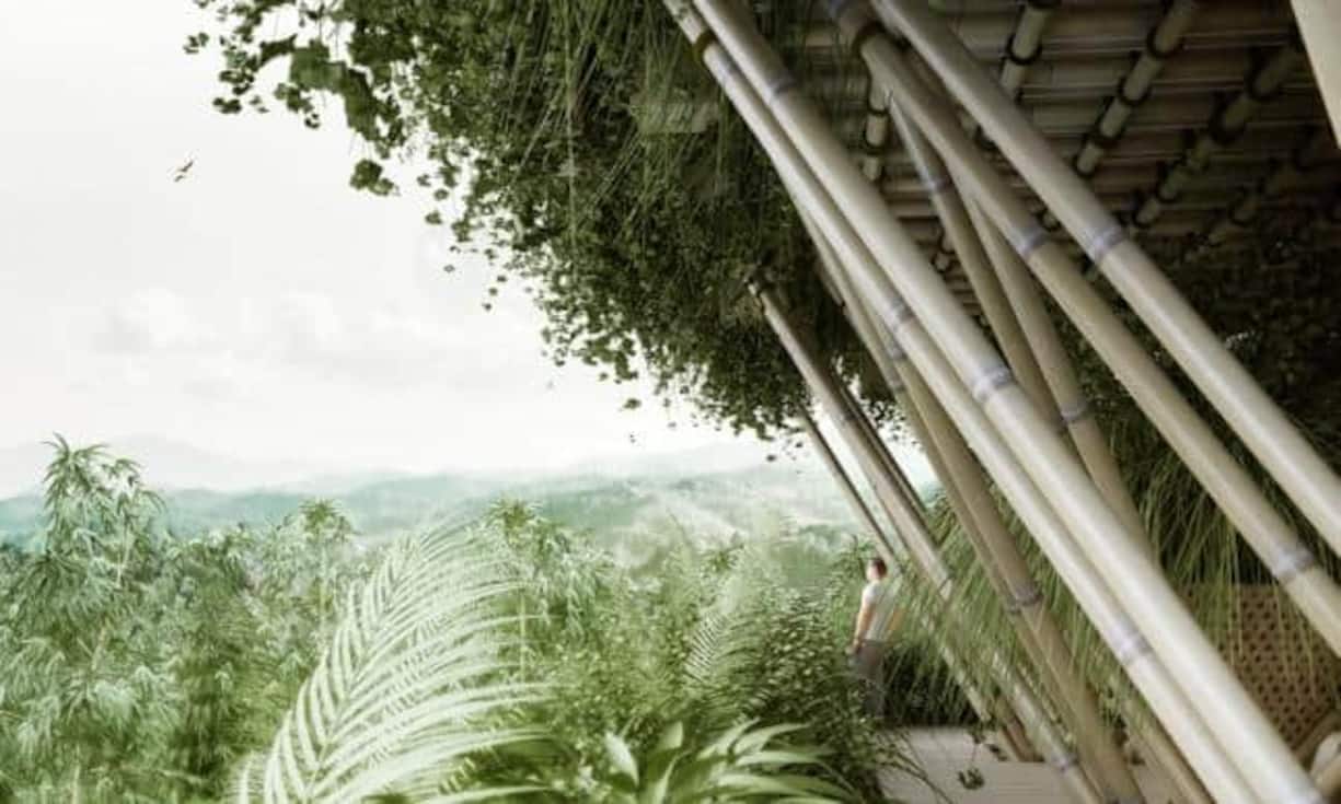 Das Gebäude soll sich «organisch» in einen Bambuswald einfügen, der das Baumaterial liefert. Für jedes verwendete Bambusrohr werden zwei Pflanzen nachgepflanzt.Bilder: Penda