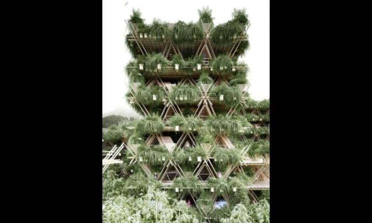 Bambus wächst schneller als Baumholz und ist im Verhältnis viel leichter und stabiler. Der Konfiguration des Gebäudes sind damit kaum Grenzen gesetzt.