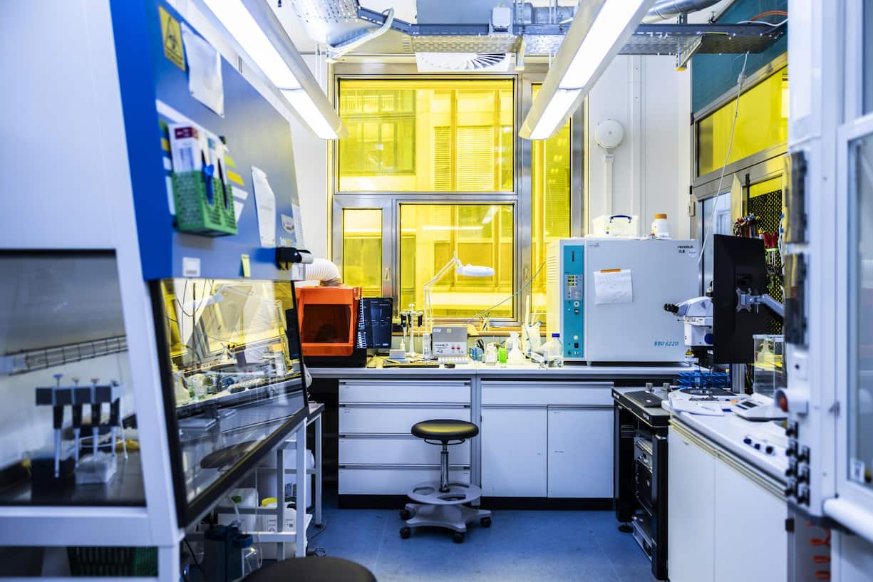 file84xvs3rxv7p5lrc8d0b