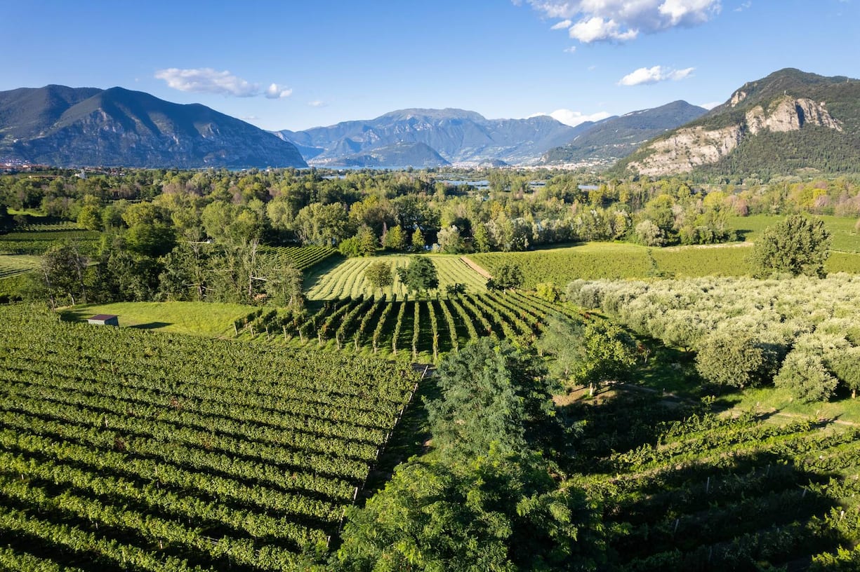 Die lombardische Weinregion Franciacorta produziert edle Schaumweine