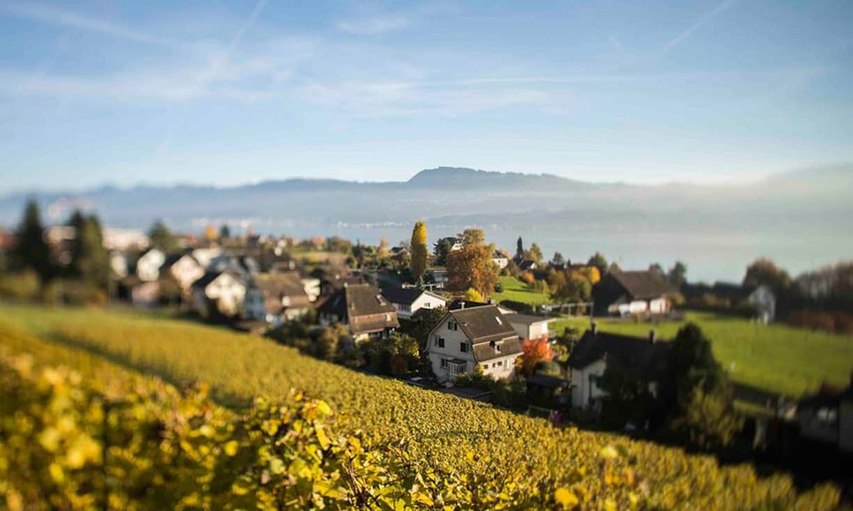 Das Immobilienangebot ist in Stäfa sehr vielfältig und die Verhandlungsmacht der Käufer relativ gross, was sich aus der Angebotsquote von 6,73 Prozent schliessen lässt. Bei Comparis lassen sich derzeit 47 Wohnungen zum Verkauf finden.