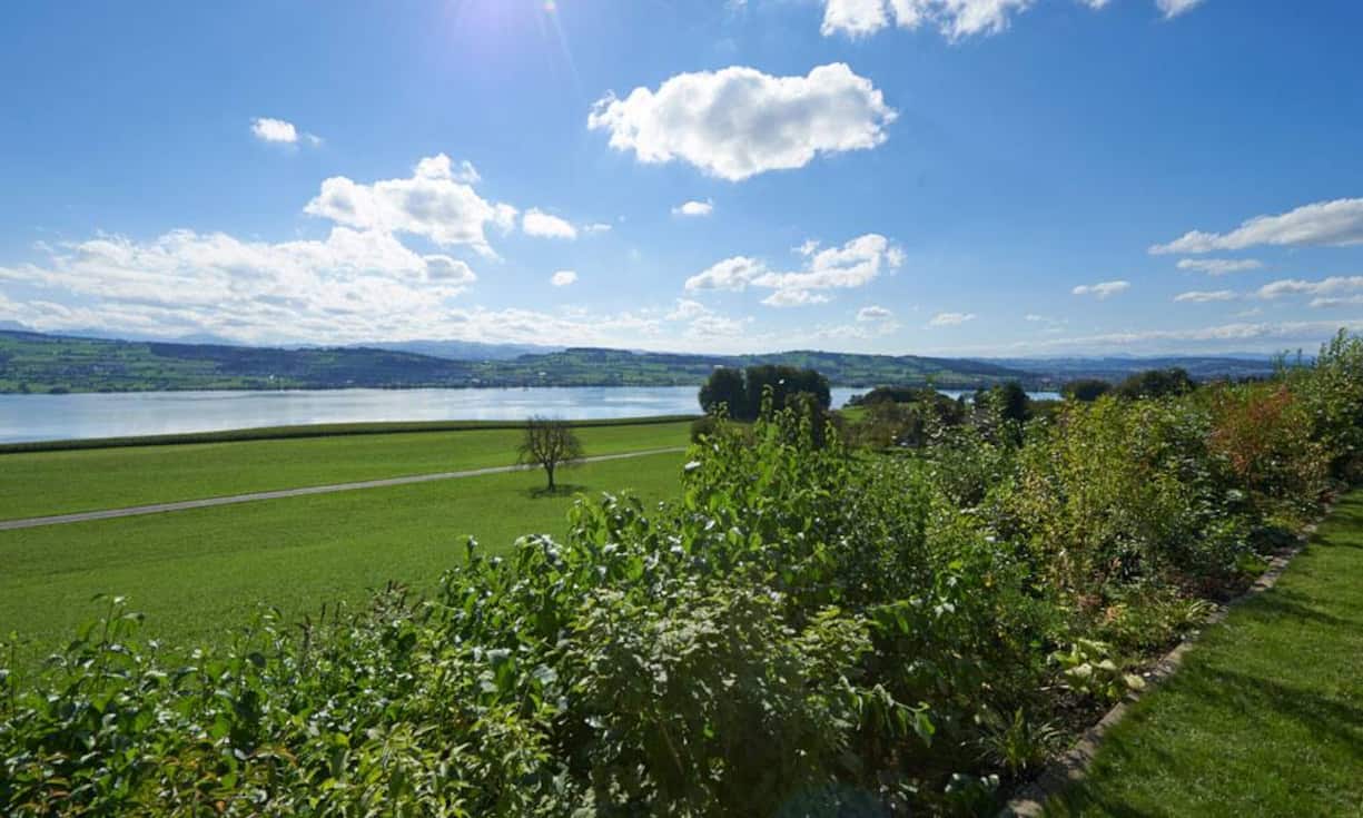 Der herrliche Blick auf den Sempachersee und die Alpen - das ist das grosse Plus dieses 6,5-Zimmer Einfamilienhauses in Eich LU. Die Aussicht kann von überall auf dem 2'137 Quadratmeter-Grundstück genossen werden.
