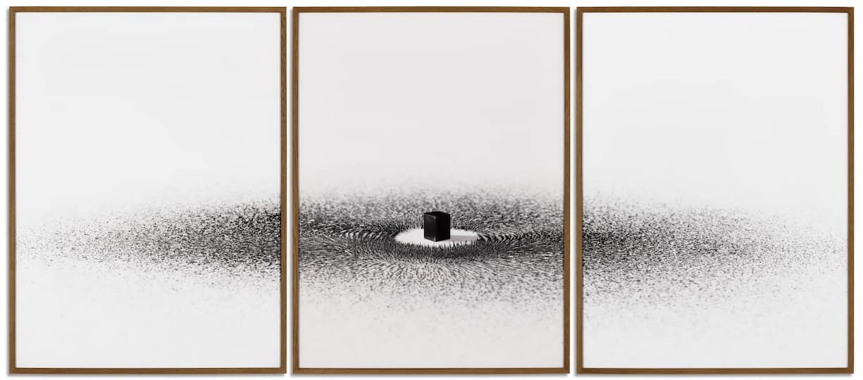 Ahmed Mater, «Magnetism (Triptych)», 136,7 × 103,1 cm