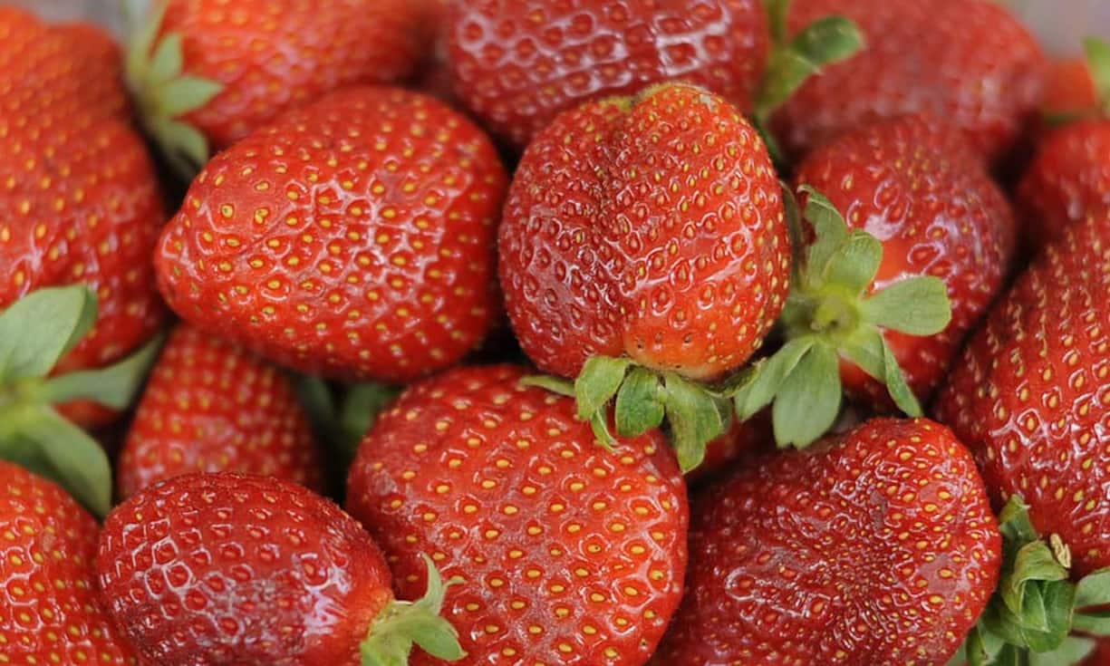 Regel Nummer fünf: Das Frühstück ist die wichtigste Mahlzeit des Tages. Nehmen Sie sich dafür die meiste Zeit.