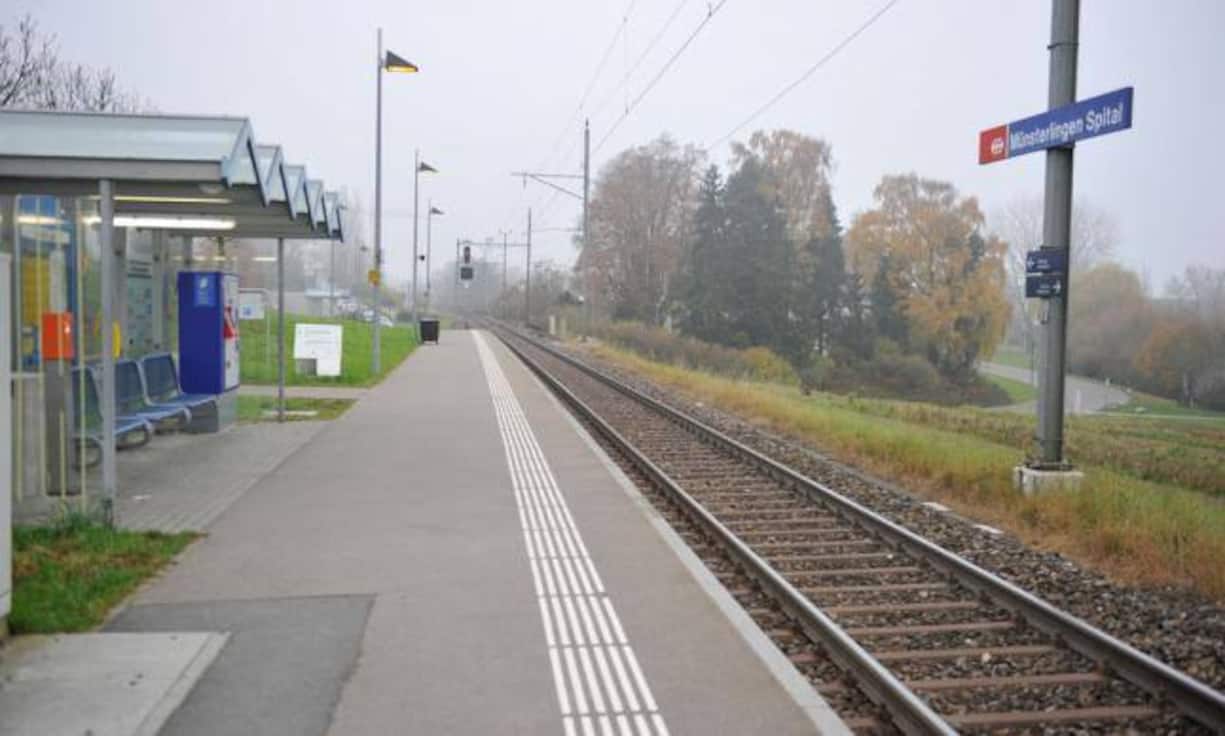 ... während das in der Nähe gelegene Münsterlingen TG moderate Hauspreise bietet.