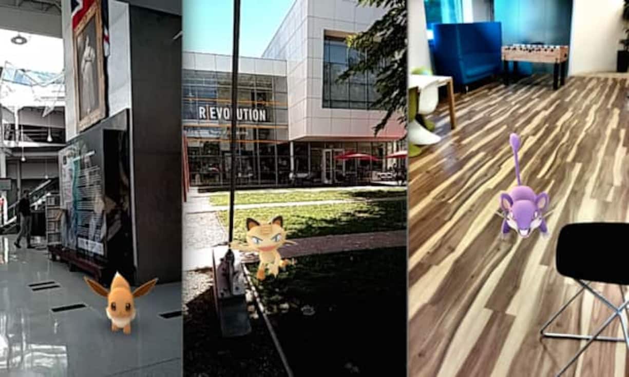 Die Pokémon des Typs «normal» sind vor allem von Schülern und Studenten leicht aufzuspüren. Denn Evoli, Mauzi und Rattfratz (v. l.) halten sich bevorzugt in Hochschulen, Schulen und Bibliotheken auf. Auch auf Hauptstrassen und Gehwegen können sie eingefangen werden.