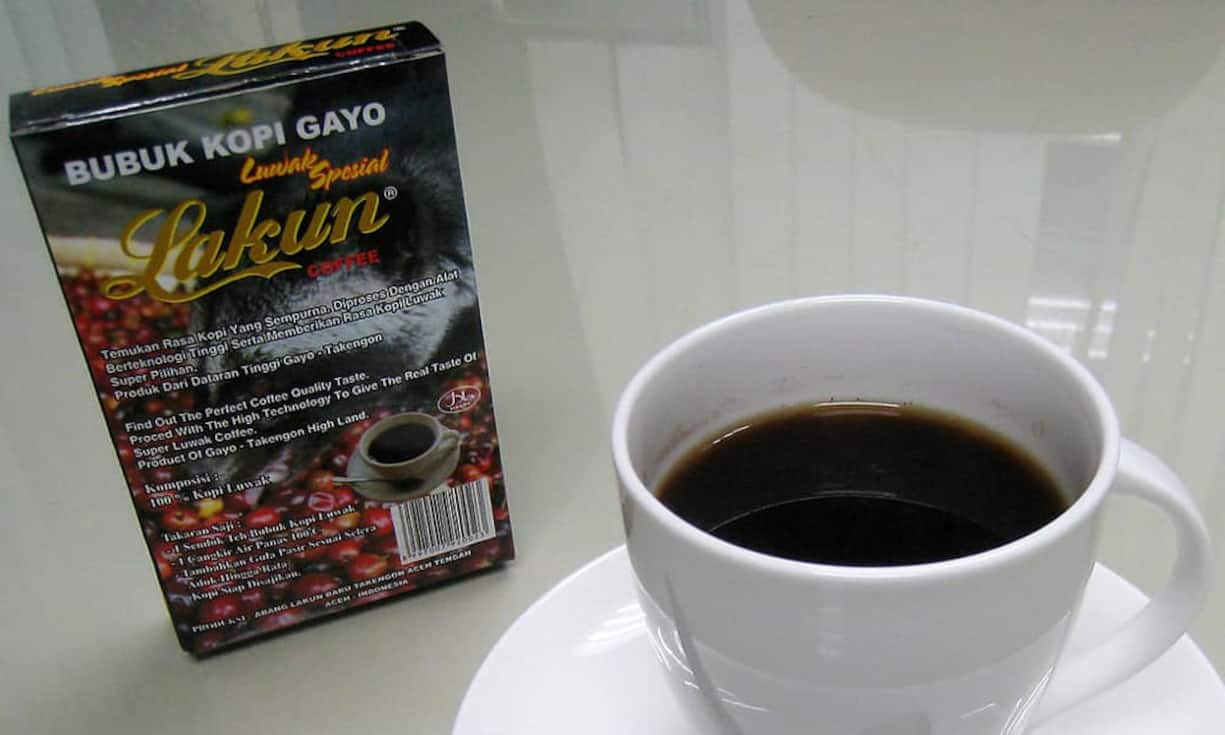 Auf Platz 6 steht der Kopi-Luwak-Kaffee, der 879 Franken pro Kilo kostet. Das Spezielle am «Katzenkaffee» ist, dass die Rohkaffeebohnen von in freier Wildbahn lebenden Fleckenmusangs gefressen und wieder ausgeschieden werden. Kann man wissen, muss man aber nicht. Na dann, Prost. (Bild: wikimedia/CC/gunawankartapranata)