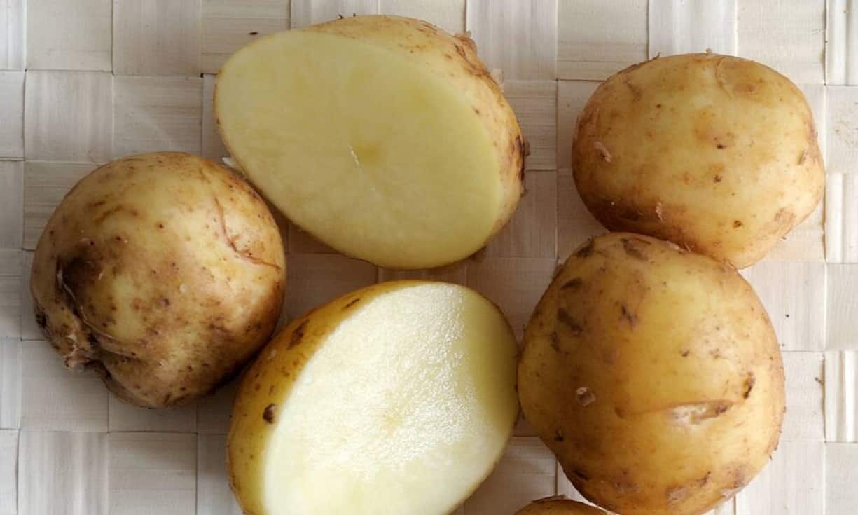 Unerwartet schafft es auch das Alltagslebensmittel Kartoffel auf die Liste der teuersten Lebensmittel der Welt. Die Bonnotte-Kartoffel (550 Franken pro Kilo) ist eine französische Sorte, die nur auf einer Insel an der Atlantikküste angebaut wird. Die Felder werden mit Tang gedüngt und die Erntezeit ist äusserst kurz.Bilder: Keystone/Wikicommons