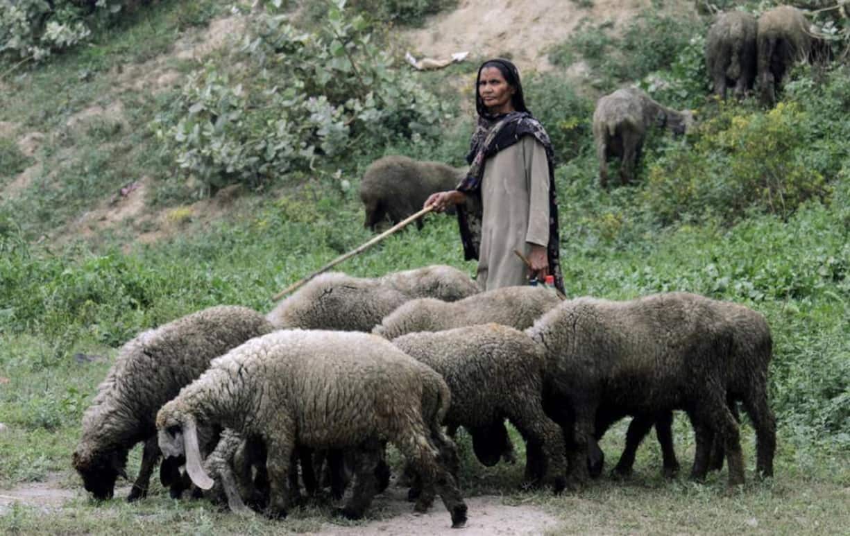 Der Anteil der weiblichen Chef in ausgewählten Ländern im Vergleich: 
Pakistan - 3 Prozent
Nirgends sonst als in Pakistan gibt es so wenige weibliche Führungspositionen. Mit nur drei Prozent Frauen in Management-Position rangiert das Land an unterster Stelle der Rangliste. Das ergibt eine Studie der Internationalen Arbeitsorganisation ILO.