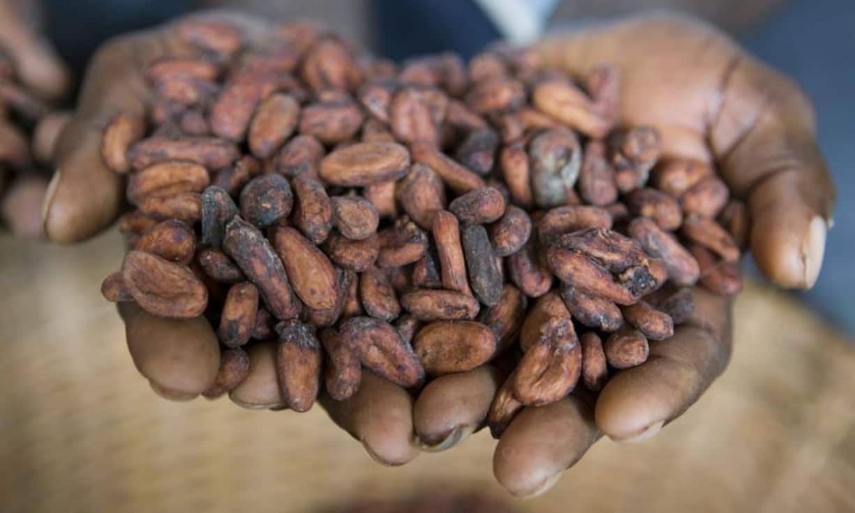 …Cargill International, das weltweit 140'000 Mitarbeitende beschäftigt, und vor…Cargill International