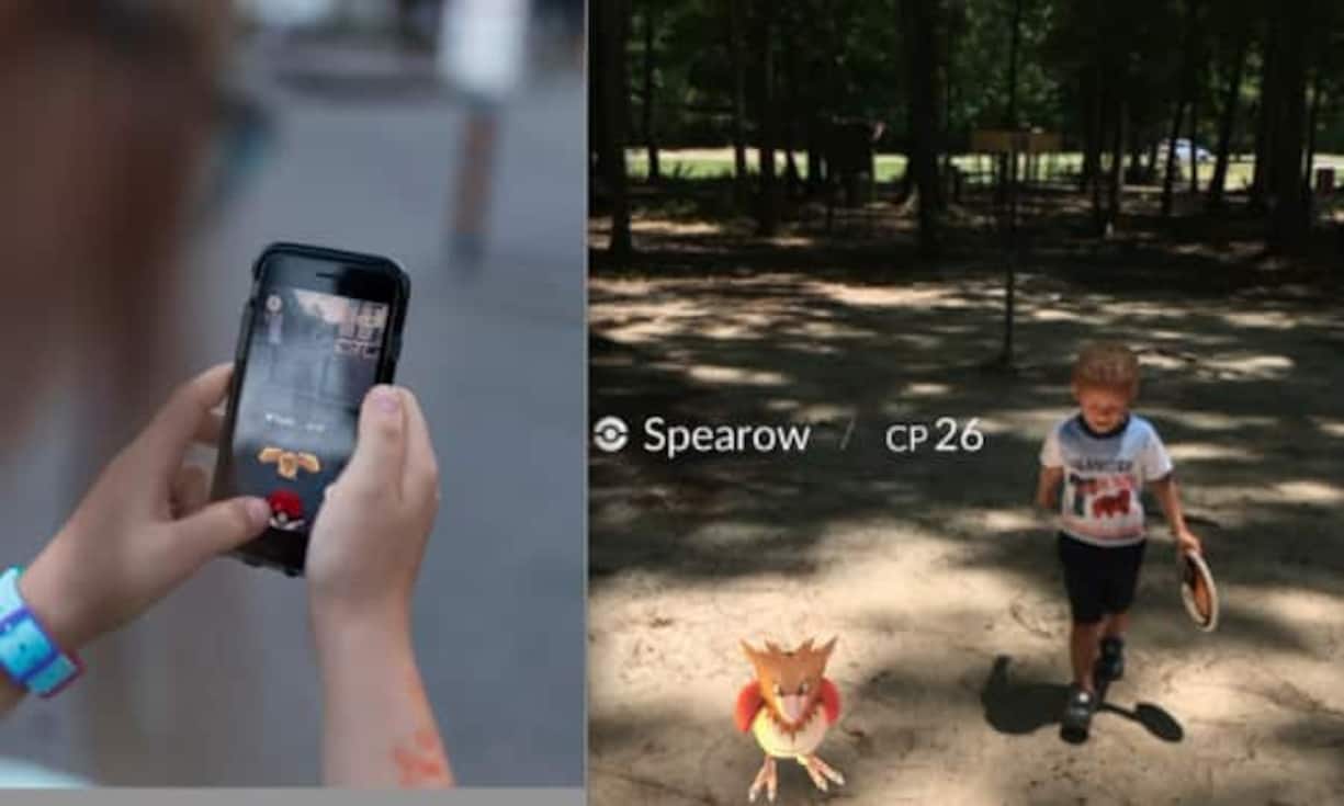 Taubsi (l.) und Habitak sind Flug-Pokémon. Wer sie fangen will, sollte sich zu Bauernhöfen, Parks, und Naturschutzgebieten und Spielplätzen begeben. Mit etwas Glück begegnen sie einem auch im heimischen Garten.