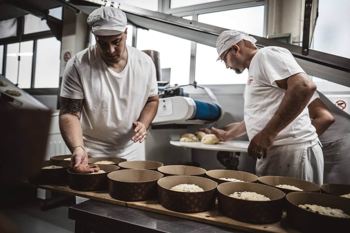 Die Panettone werden von den Bäckermeistern in die Form gelegt.