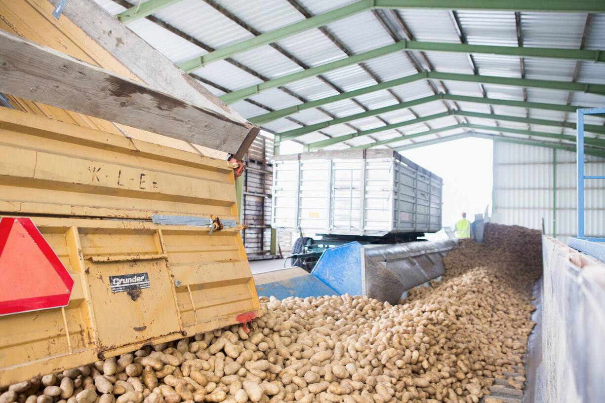 Knapp 90 Prozent der Zutaten bezieht McDonald’s von Schweizer Lieferanten: die Pommes frites von der Fenaco-Tochter Frigemo