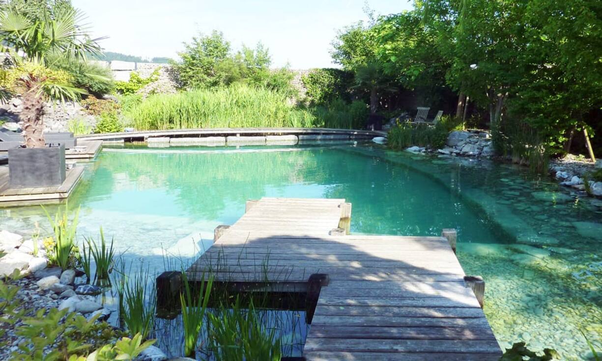 Neben der gepflegten Grünanlage verfügt die Villa im turgauischen Wilen bei Wil SG über einen idyllischen Schwimmteich.