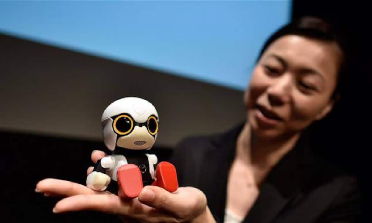 Im Vordergrund steht der Aufbau von emotionalen Verbindungen. Es gehe darum, dass jemand da ist, mit dem man reden könne.