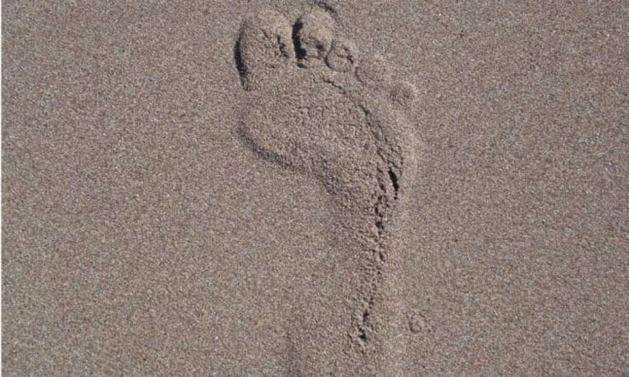 Digital Footprints Sie müssen verstehen, welche Konsequenzen  ihre digitalen Spuren im Netz haben können. pixabay