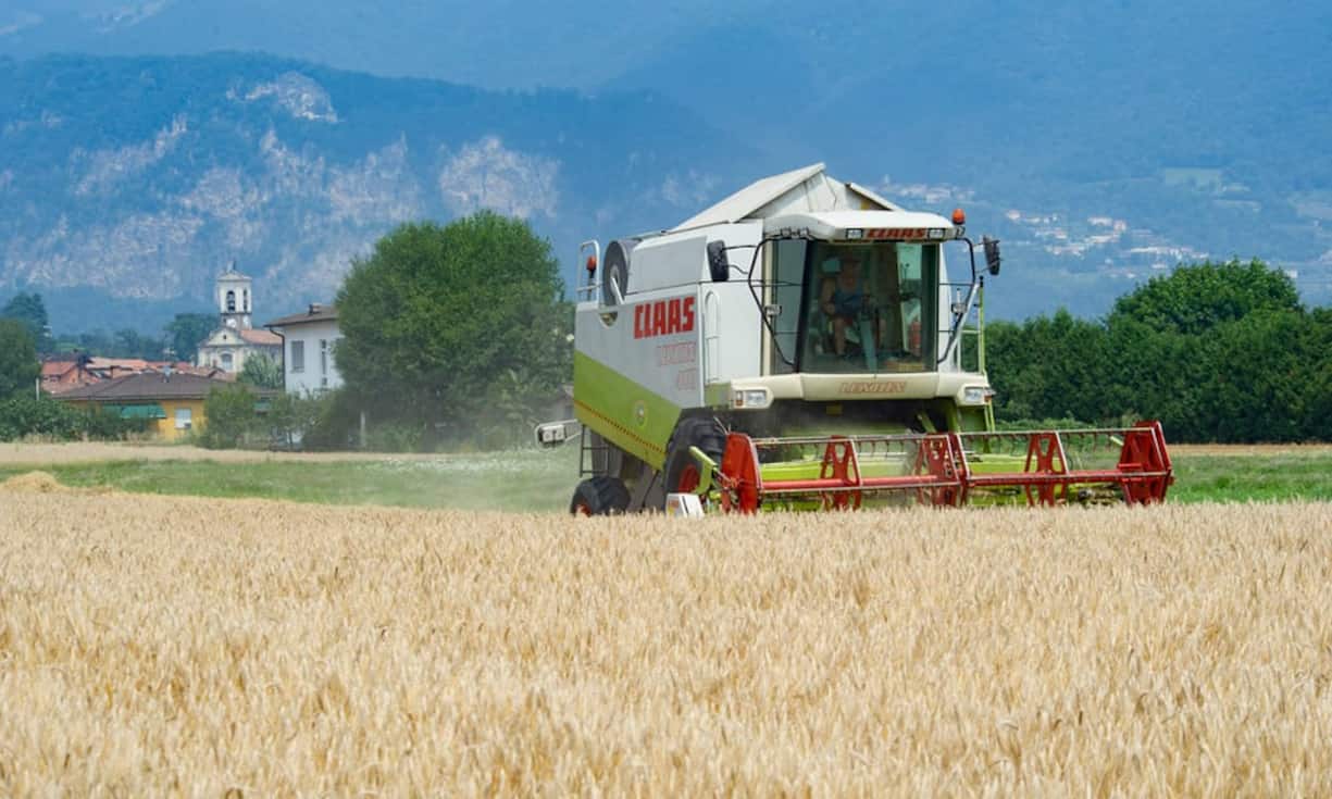 Landwirtschaft