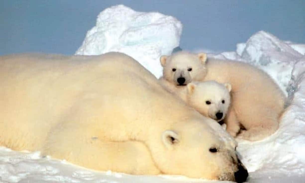 Risiken, die die Schweiz kaum beeinflussen kann: 
Sollten sich internationale Klima-Abkommen als unzureichend erweisen und der Klimawandel nicht aufzuhalten sein, können Migrationsströme und Extremwettersituationen die Wirtschaftsentwicklung beneinträchtigen.