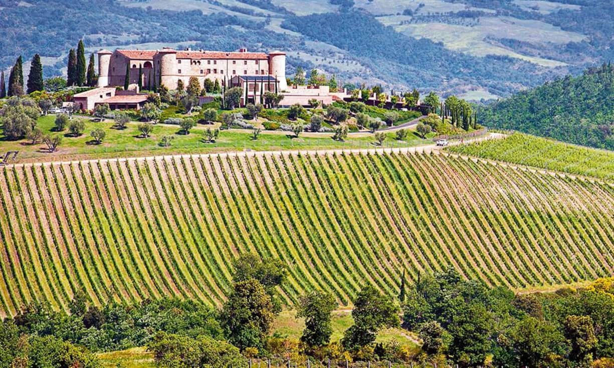 Maria Iris Tipa Bertarelli: Weingut Castello di Colle Massari.
Die Mutter von Ernesto Bertarelli, der die Serono für zehn Milliarden an Merck verkaufte, betreibt in Italien zusammen mit ihrem Bruder drei Weingüter. Das beste davon, Colle Massari, wurde vom renommierten Weinführer «Gambero Rosso» zum «Weingut des Jahres 2014» gekürt.