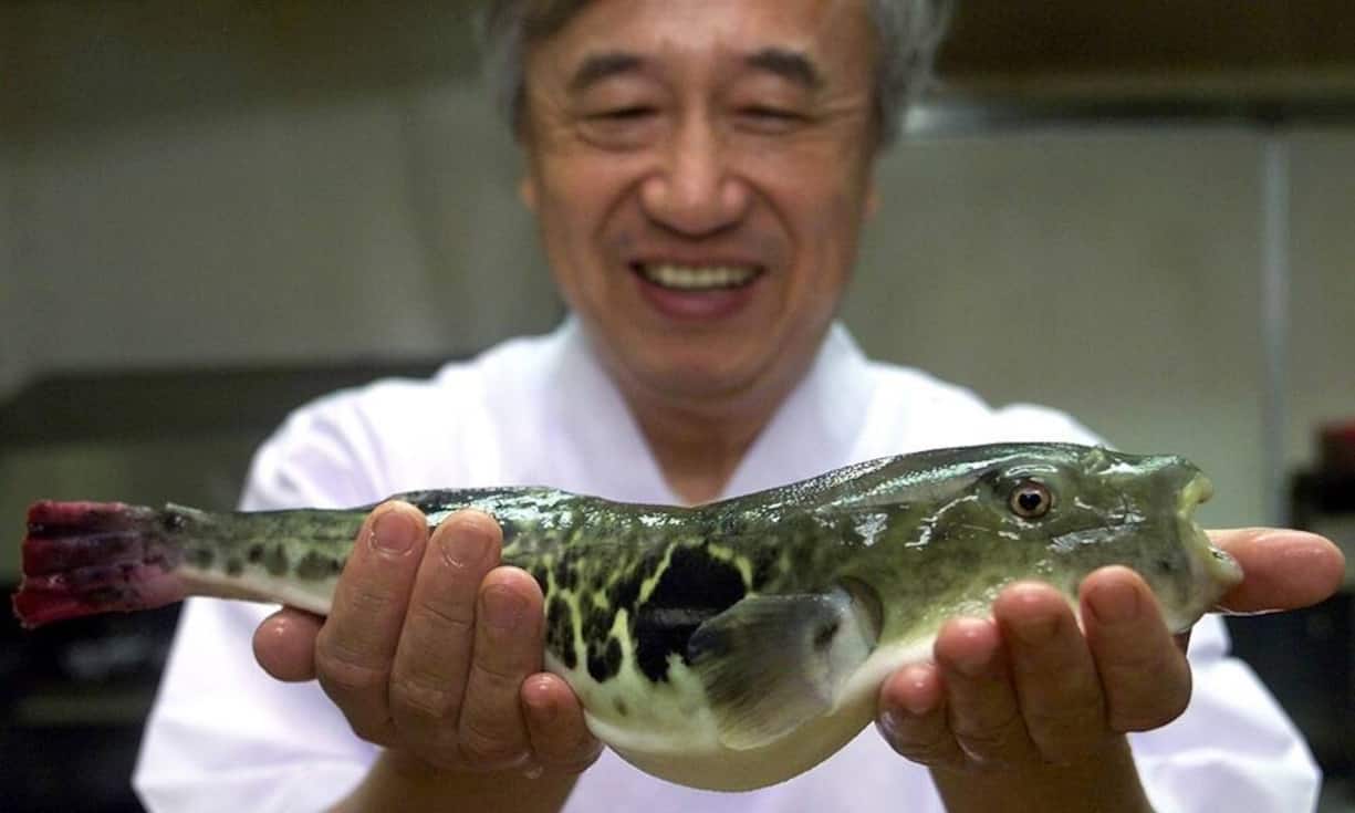 Aus dem Epizentrum für Delikatessen, Japan, stammt auch Fugu. Die Spezialität aus Kugelfisch kostet 550 Franken pro Kilo.