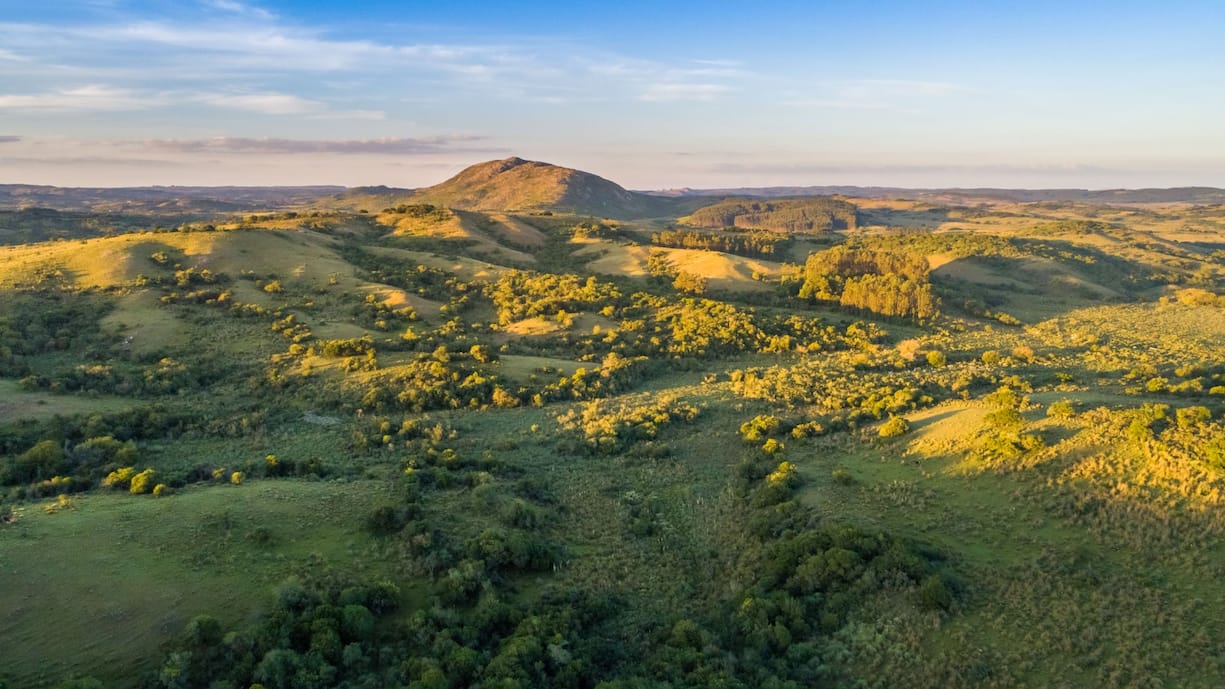 Ländliche Szene im Departement Rocha, nahe der Stadt Rocha, Uruguay. Dieser Ort ist bekannt für seine Hügel und Landschaften. Das Bild wurde im Freien aufgenommen, bei Tageslicht (Sonnenuntergang), ohne Menschen im Bild.
