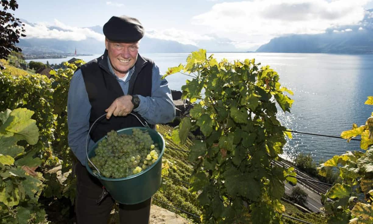Neben dem Uhrenbusiness interessiert sich Biver für die Landwirtschaft. Hier ist er als Pate bei der Weinlese im Gut «La Vigne a Gilles» bei Saint-Saphorin dabei.