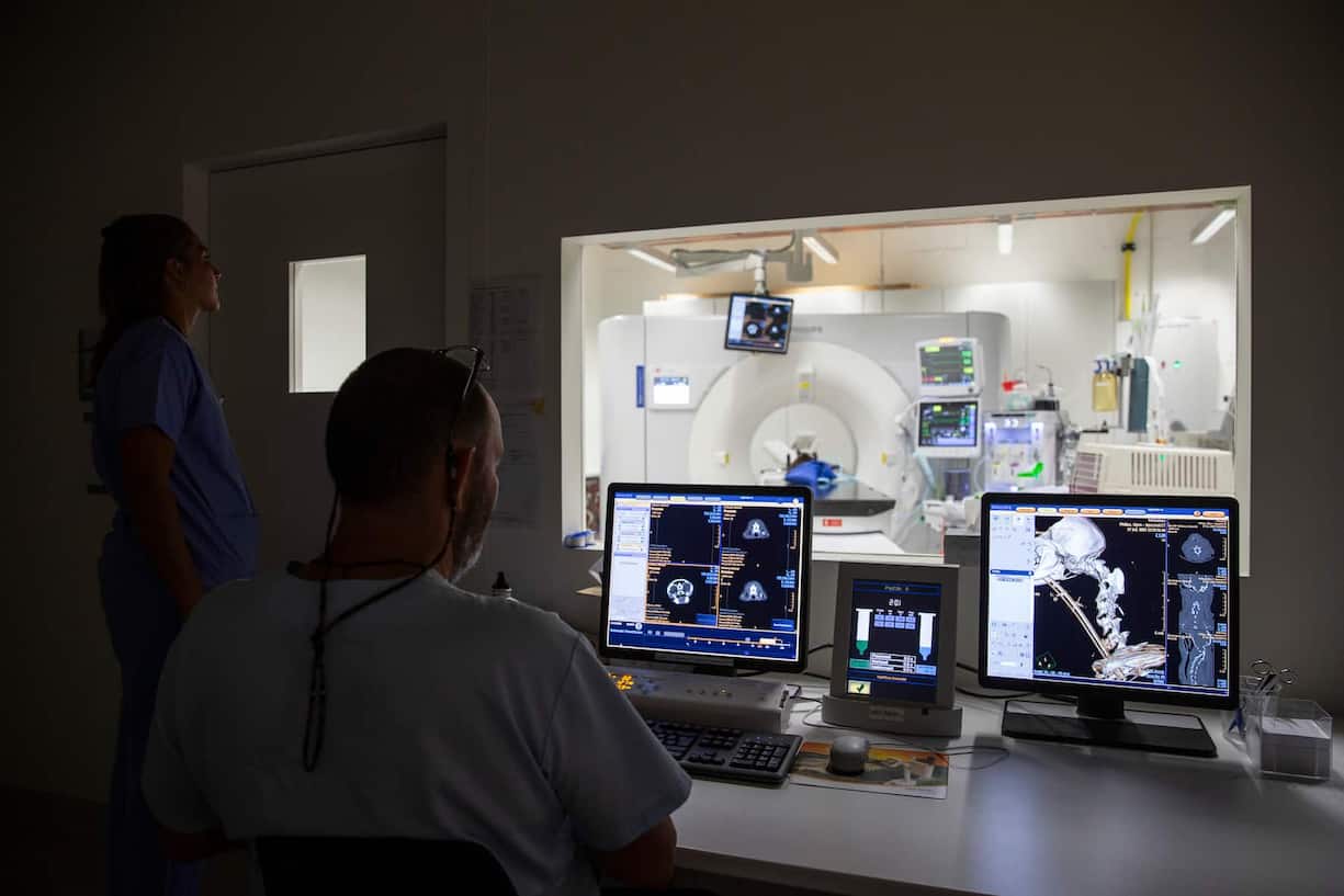 Anders als in der Humanmedizin müssen sich Vetsuisse-Fakultät und Tierspital für die Beschaffung teurer Geräte mit einbringen.