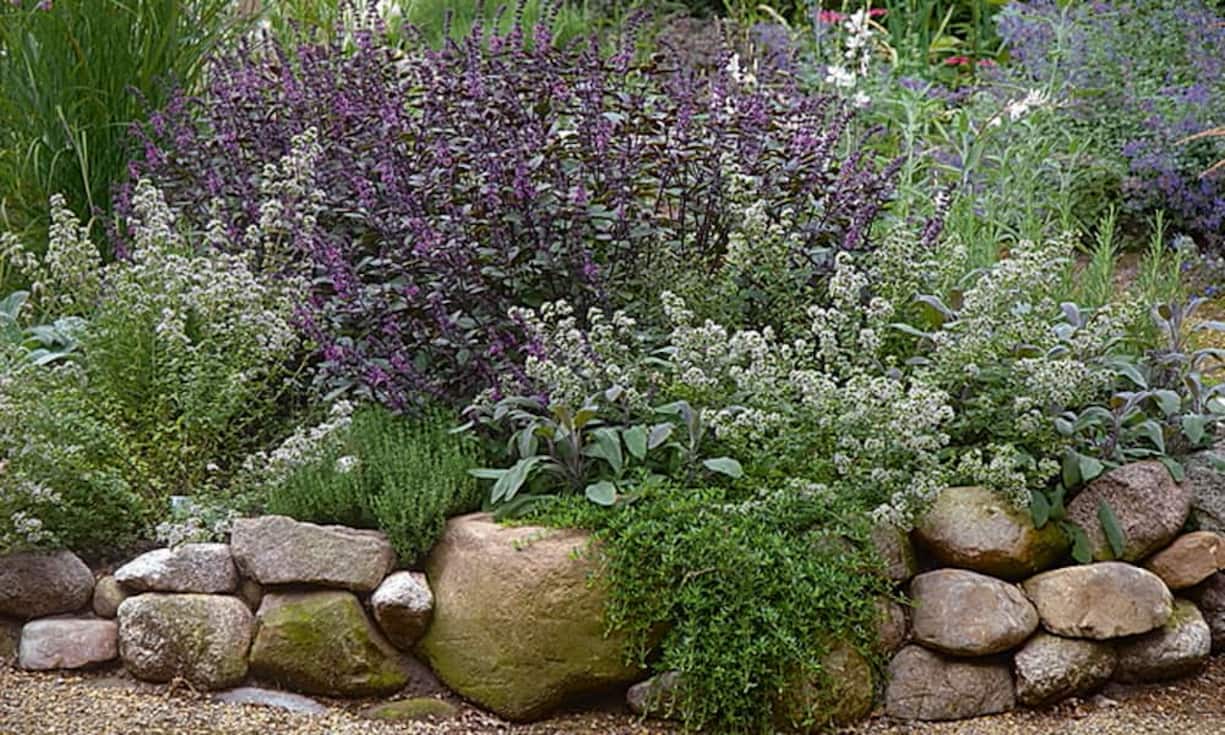 Duft-Terrasse: Der optische Auftritt der Pflanzen ist das eine, der olfaktorische das andere. Heimische und exotische Kräuter überraschen je nach Jahreszeit mit feinen Duftnoten: Schnittlauch, Rosmarin, Currykraut, Salbei, Thymian, Basilikum. Stark duftende Pflanzen wie Duftwicken, Vanilleblume, Ziertabak oder Nachtkerze sind darüber hinaus auch eine Augenweide.