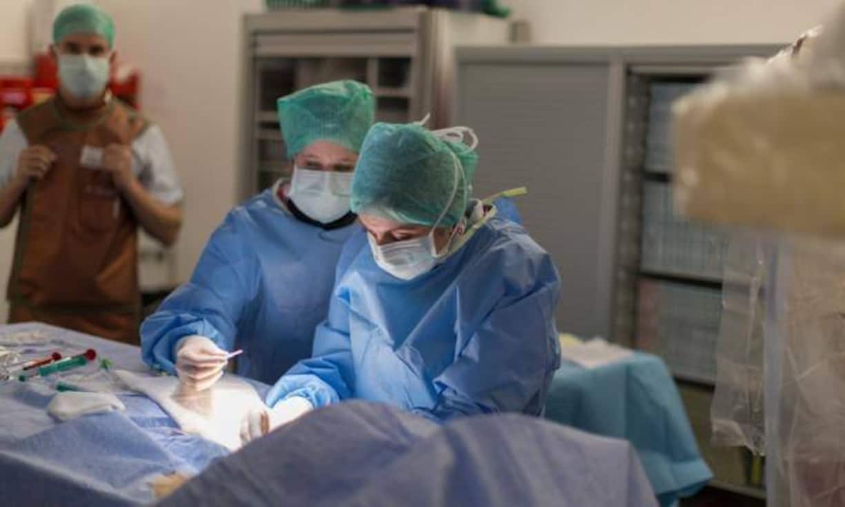 Unter den Berufen mit hoher Qualifikation brauchen dafür Ärzte sich keine Sorgen machen...
Automatisierungswahrscheinlichkeit: 2 Prozent.