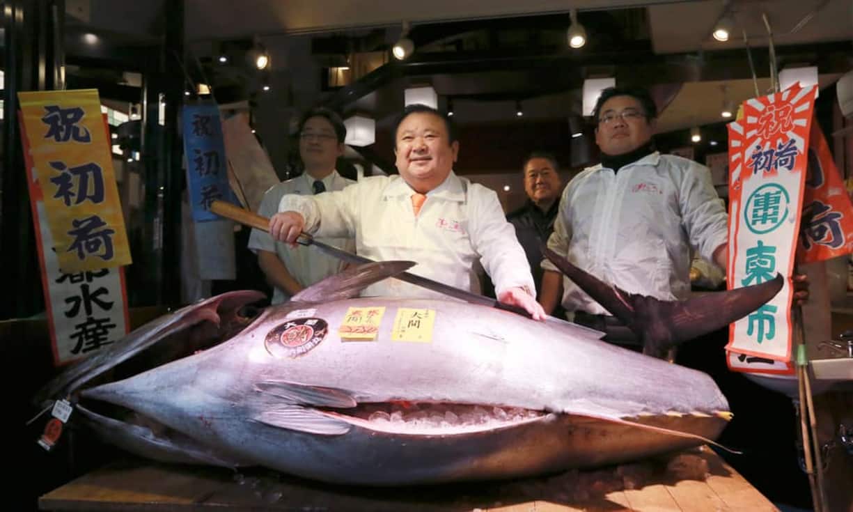 In Japan hat ein Geschäftsmann für einen Blauflossen-Thunfisch (oder Roter Thun) bei einer traditionellen Neujahrsauktion 647'000 Franken bezahlt. Blauflossen-Thunfische gehören mit Höchstpreisen bis 6500 Franken pro Kilo zu den teuersten Lebensmitteln der Welt. Inzwischen sind die wertvollen Fische wegen Überfischung vom Aussterben bedroht.Für welche Lebensmittel noch Rekordpreise fällig werden: