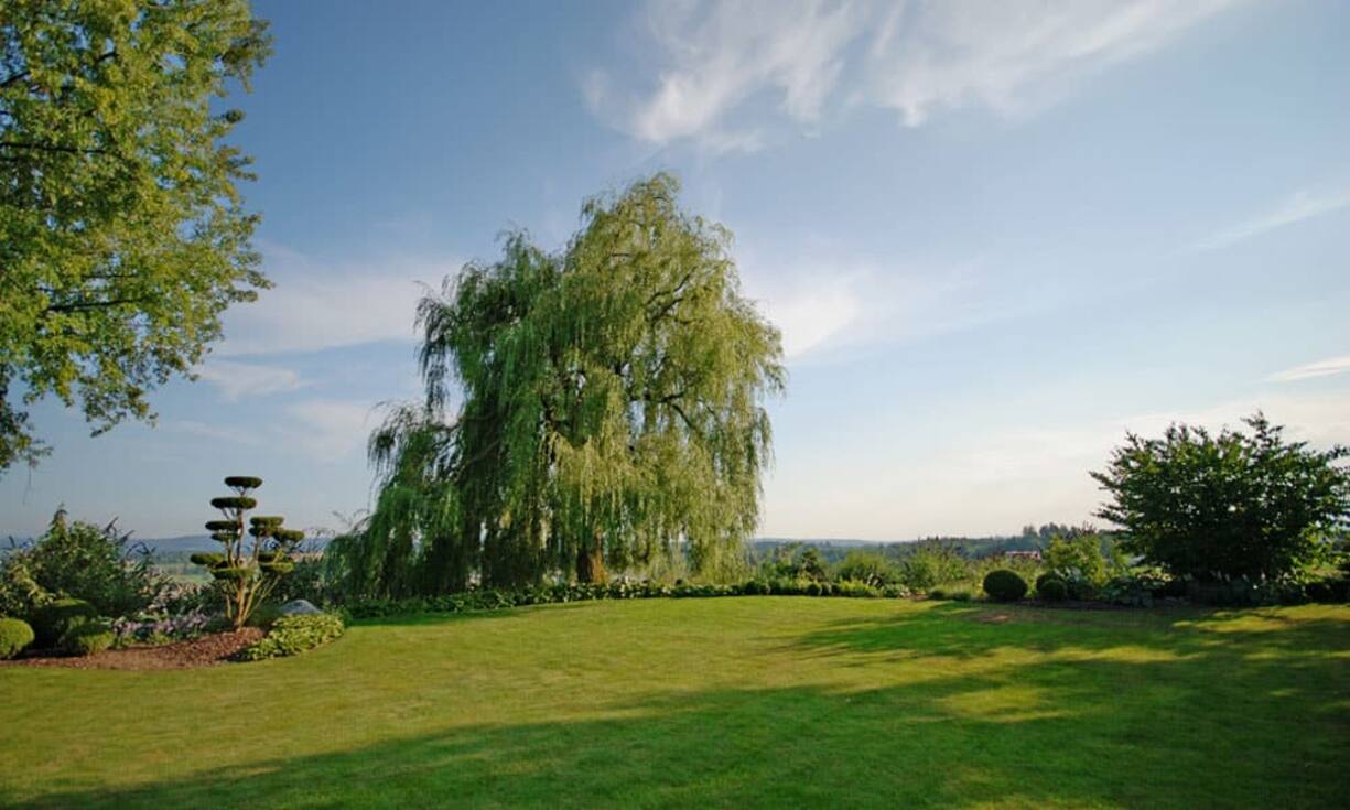 Das von viel Grün umschlossene Grundstück von 3'319 Quadratmetern bietet viel Privatsphäre.