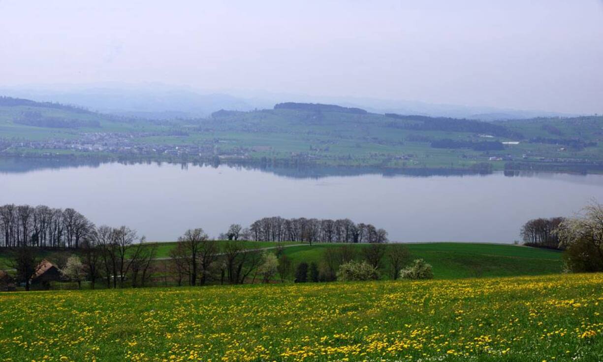 Die Aussicht auf den Sempachersee kann nicht verbaut werden.