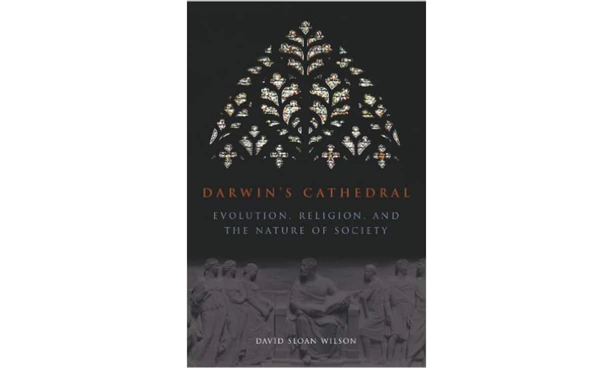 «Darwin's Cathedral – Evolution, Religion, and the Nature of Society» von David Sloan WilsonDer US-amerikanische Evolutionsbiologe und Atheist Wilson verbindet Religion und Evolution in einer evolutionären Theorie der Religion. Dazu ist es laut Autor nötig, die Gesellschaft als Organismus zu verstehen. Beispiele aus verschiedenen Epochen und Weltgegenden stützen dabei seine Thesen.
