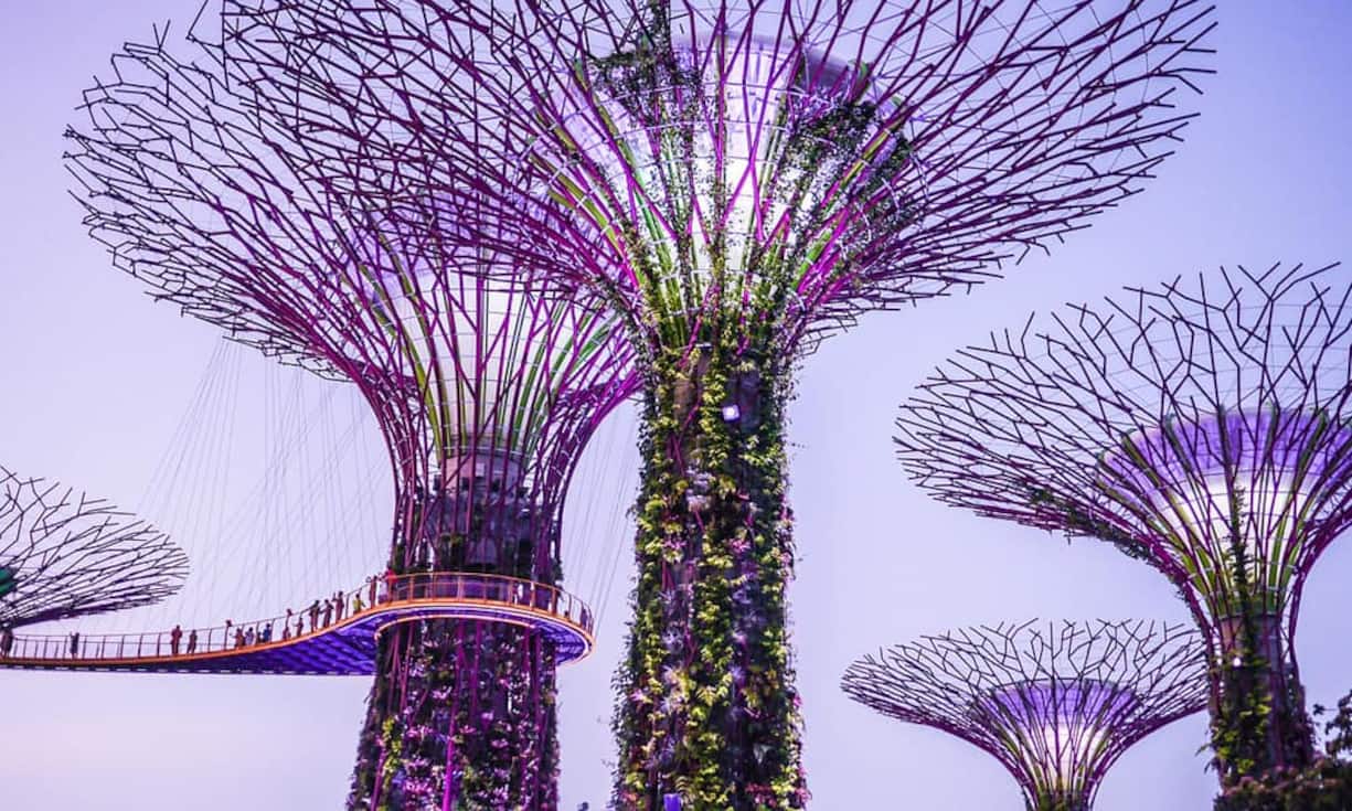 11_singapur.jpg