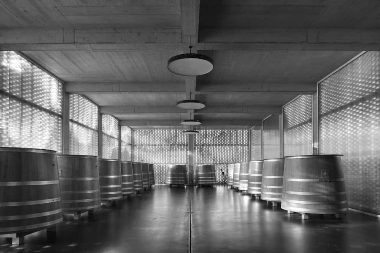 Modernes Design trifft auf moderne Weinkultur: In diesen Eichenfässern werden die Trauben vergoren.