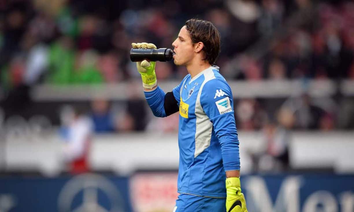 2014_yann-sommer.jpg